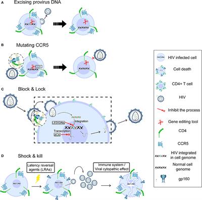 Advances in Developing CAR T-Cell Therapy for HIV Cure